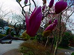 20070309 04.jpg